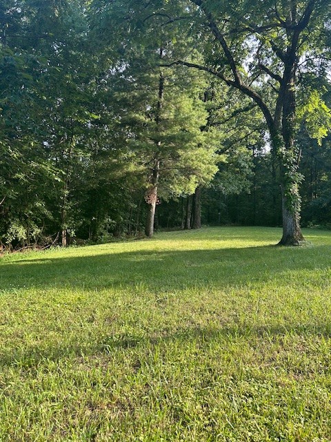 0 Mockingbird Hill Road Palmyra, TN 37142 - Photo 5 of 5 a view of a golf course with a lake view