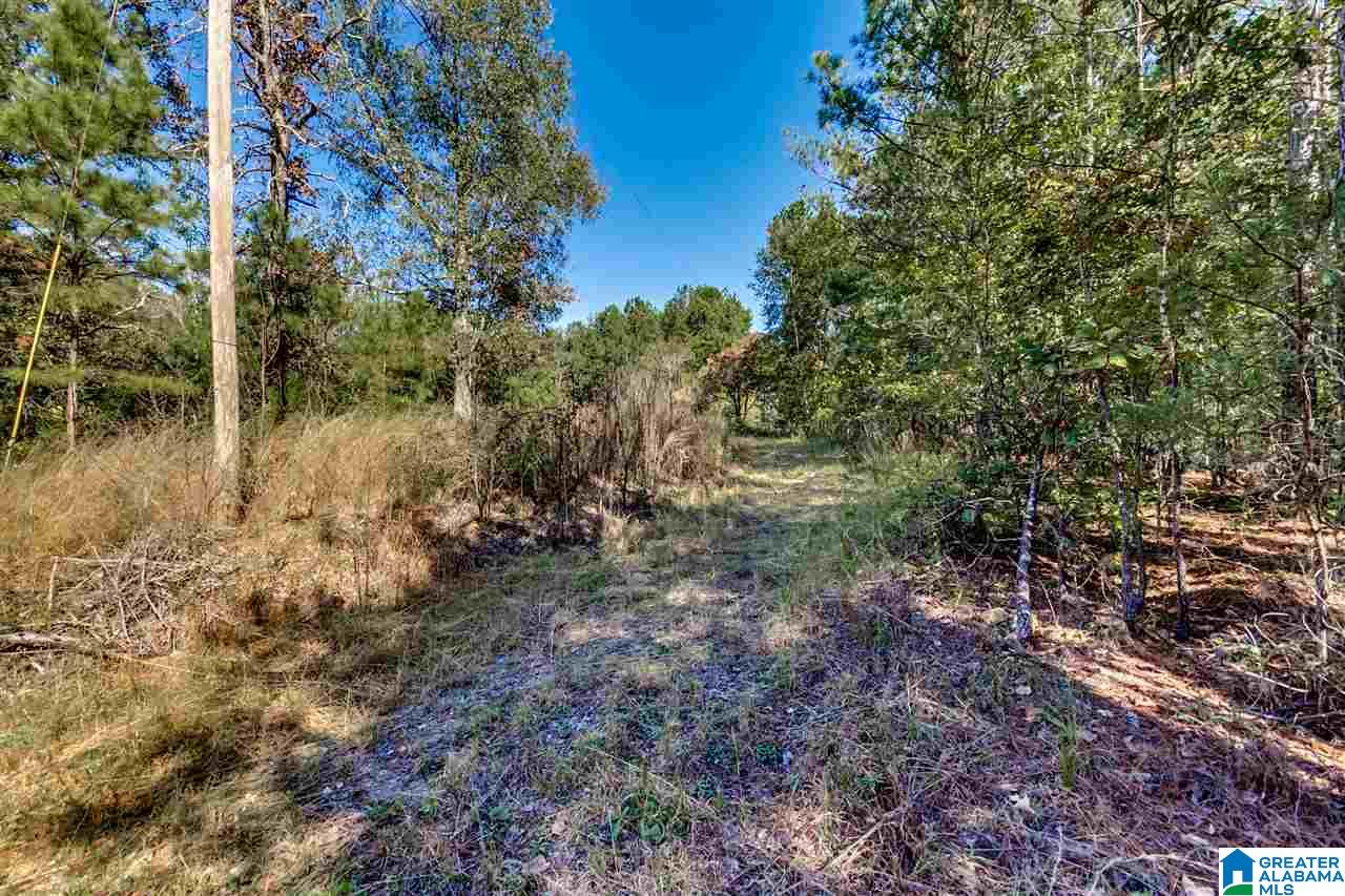 384 Wolf Pond Road, Unit 1 Talladega, AL 35160 - Photo 4 of 26