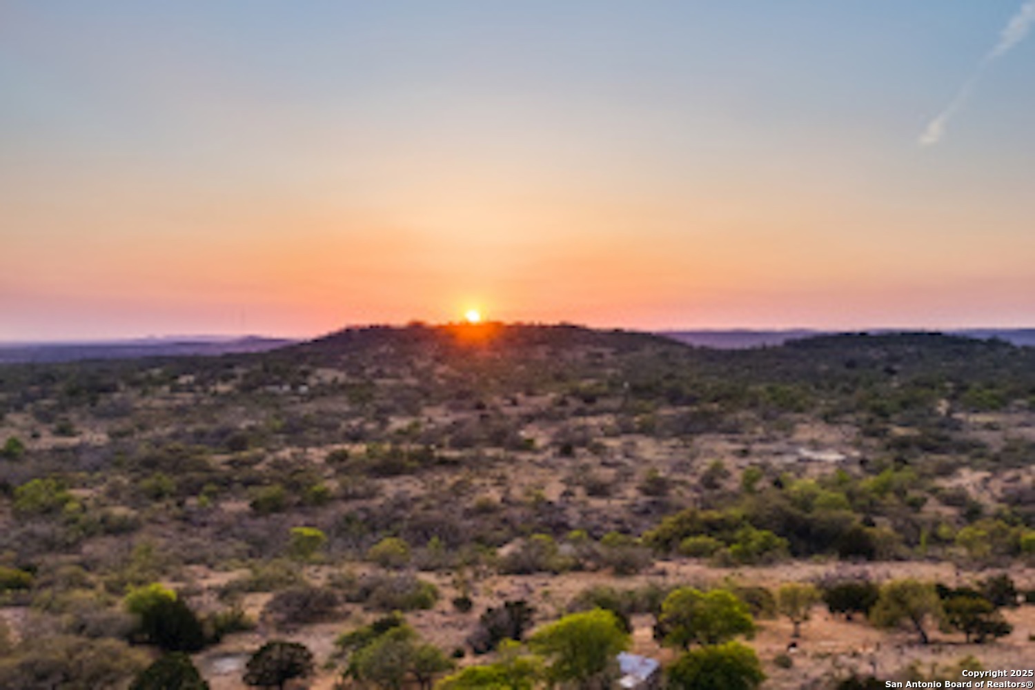 a view of a city with lush green forest