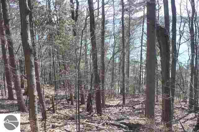 0 Spring Valley Beulah, MI 49617 - Photo 2 of 25