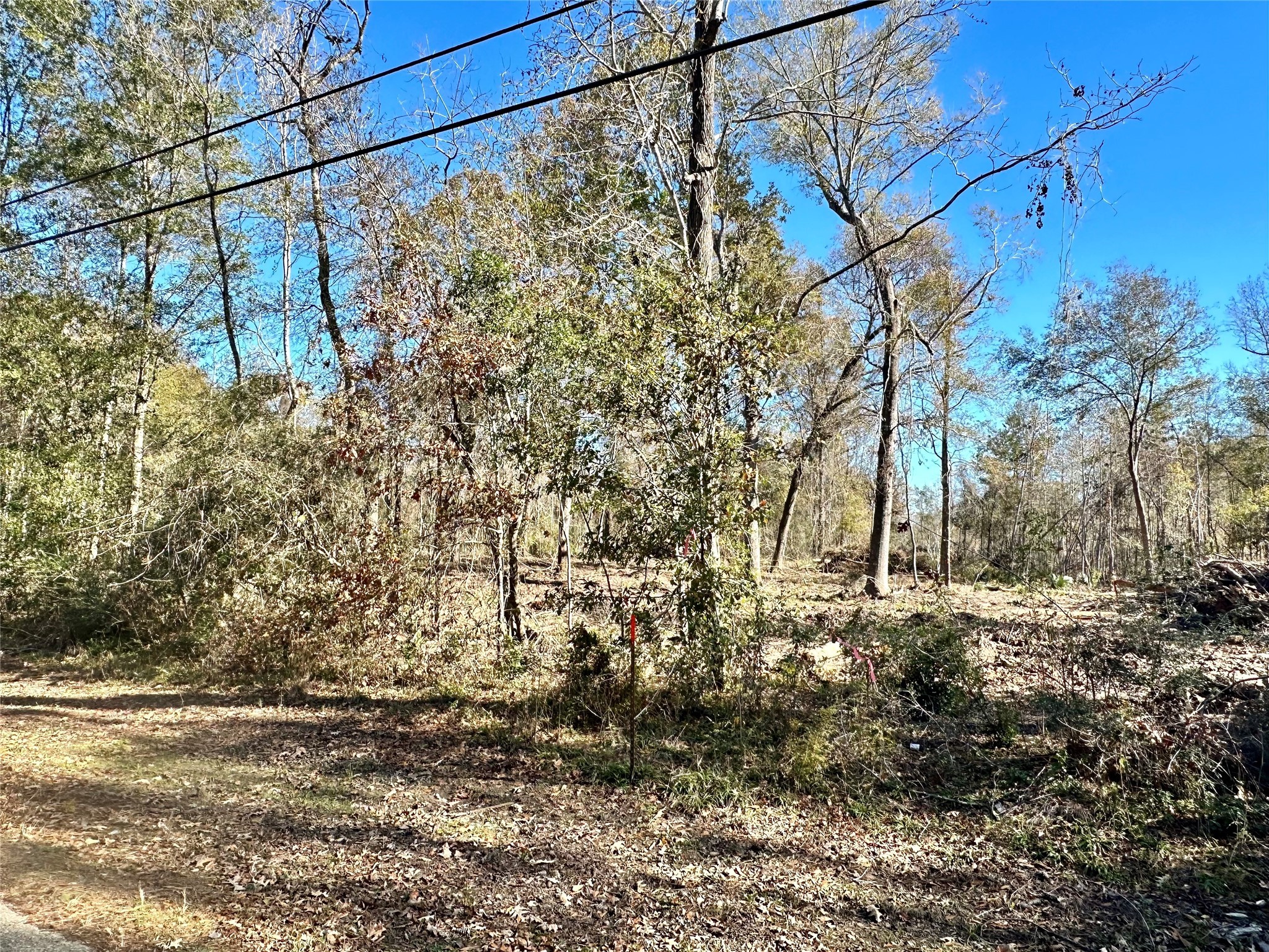 2500 China Road North Beaumont, TX 77713 - Photo 2 of 4