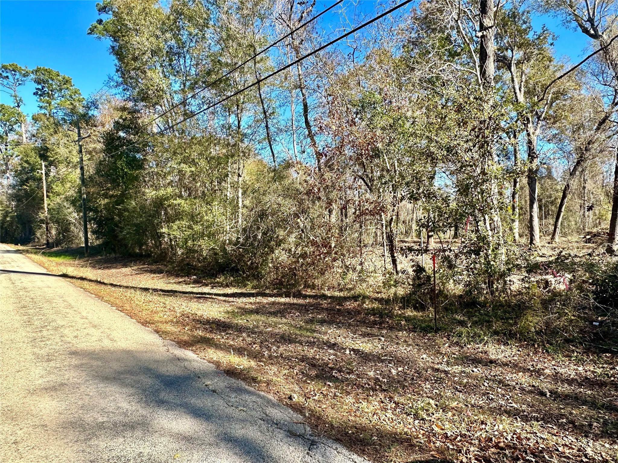 2500 China Road North Beaumont, TX 77713 - Photo 4 of 4