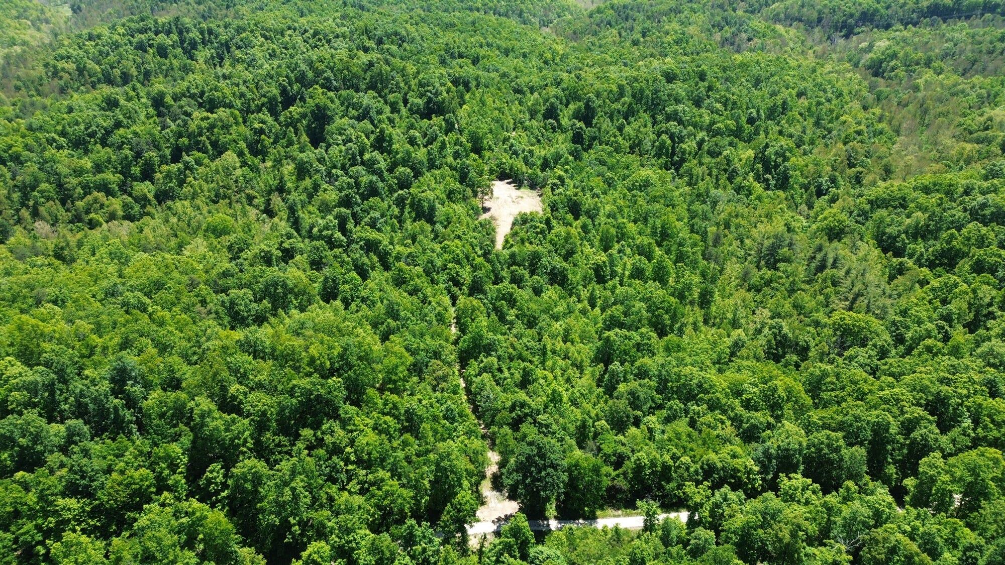 700 Clay Camp Road Hitchins, KY 41146 - Photo 99 of 108 28