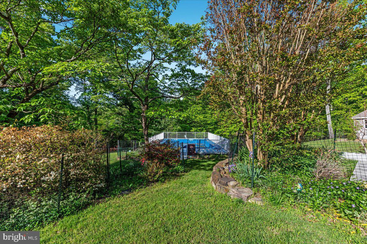 146 Lizzie Mills Road Castleton, VA 22716 - Photo 40 of 91 a view of a house with a yard