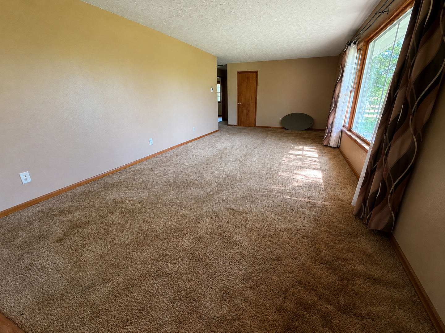 9857 Highway 45 Flora, IL 62839 - Photo 20 of 49