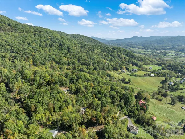 a view of a lush green forest with mountains in the background