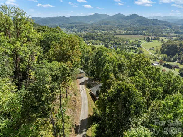 a view of a lush green forest with trees in the background