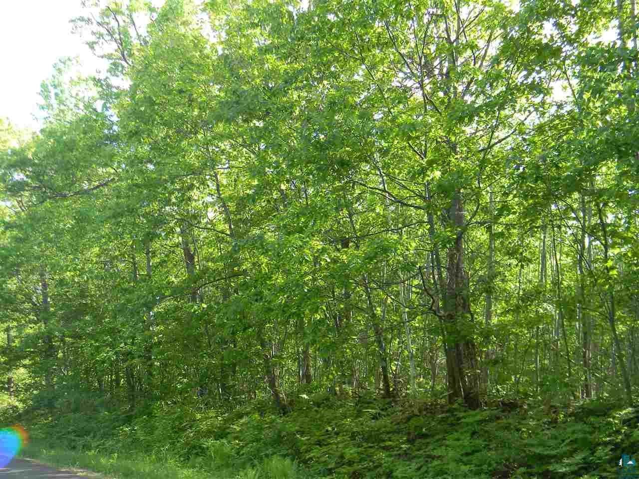 0 Oakdale Road Lake Nebagamon, WI 54849 - Photo 1 of 8