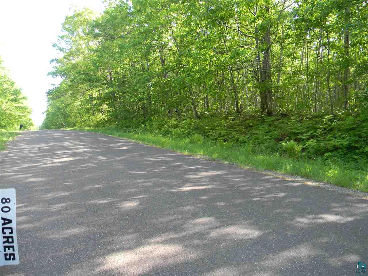 0 Oakdale Road Lake Nebagamon, WI 54849 - Photo 3 of 8