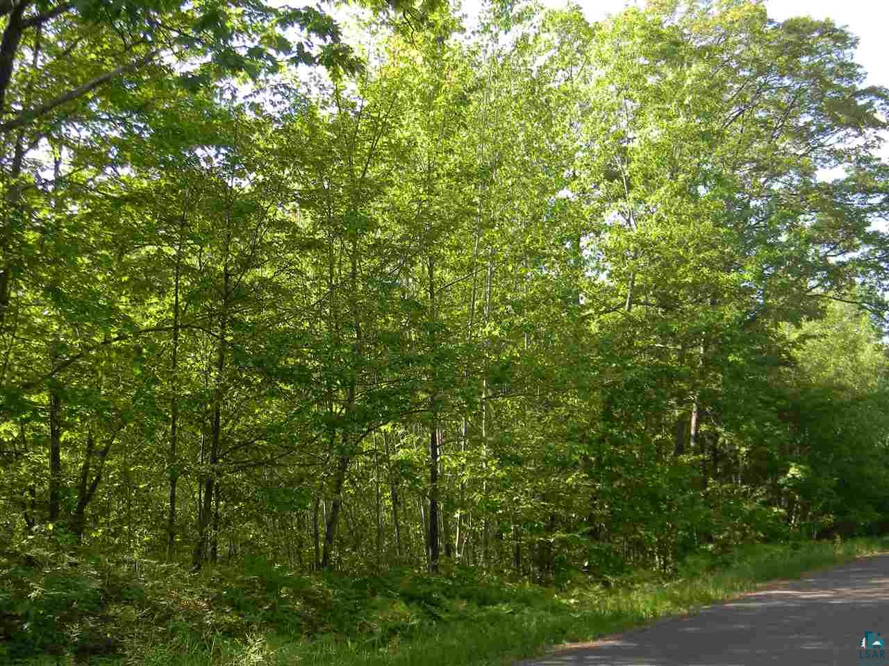 0 Oakdale Road Lake Nebagamon, WI 54849 - Photo 7 of 8