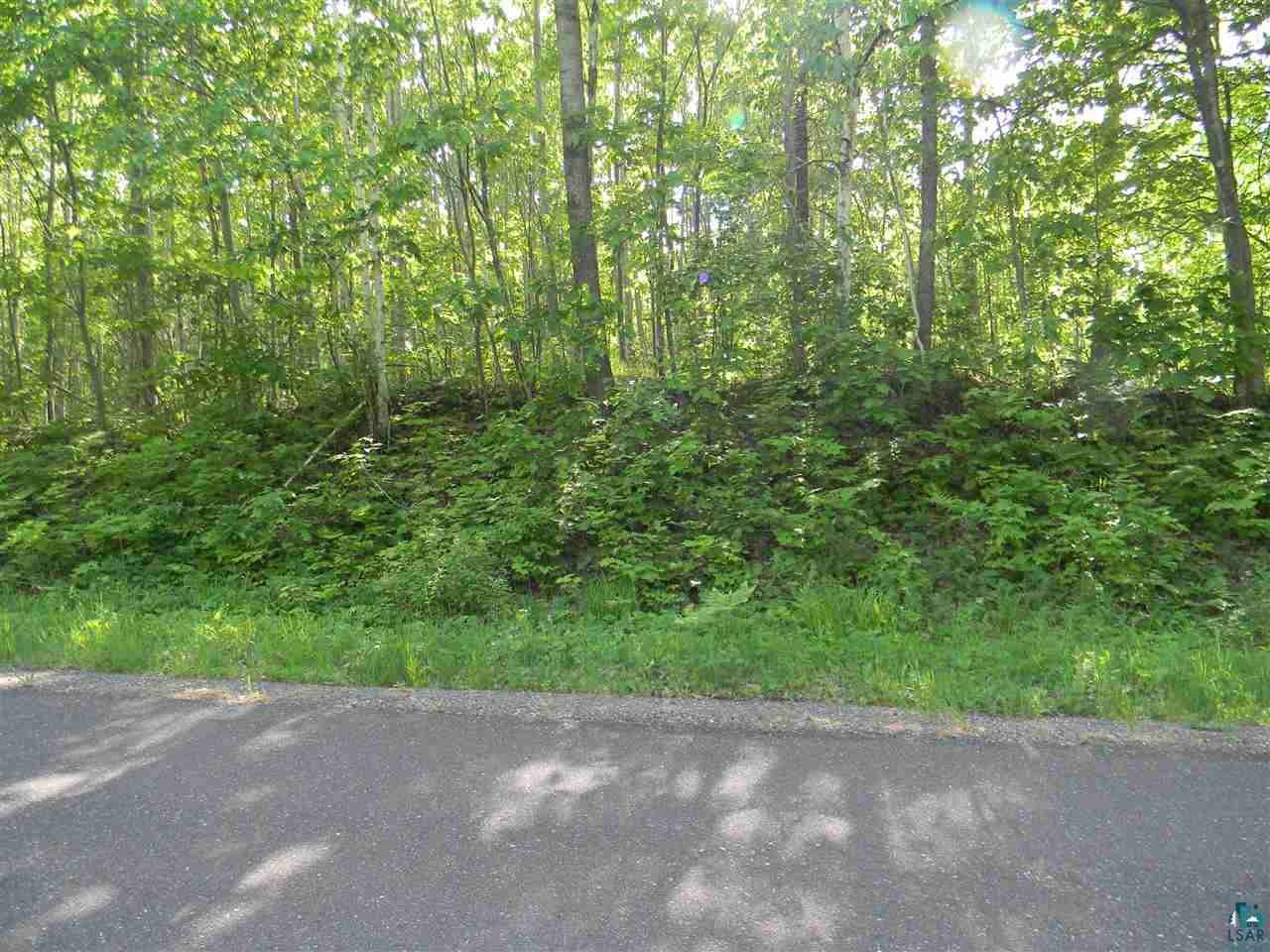 0 Oakdale Road Lake Nebagamon, WI 54849 - Photo 8 of 8