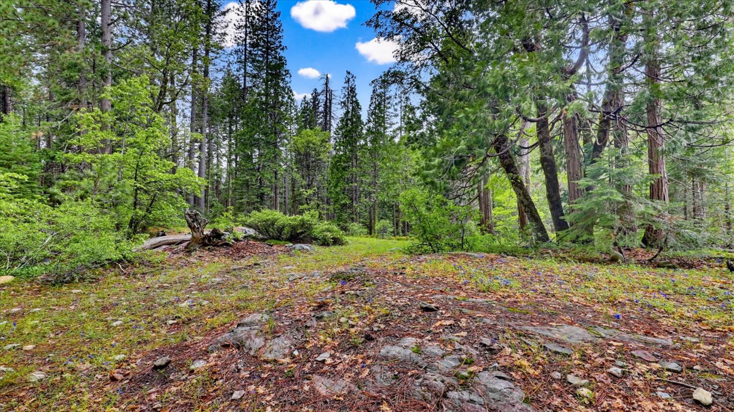 0 Texas Hill Road Emigrant Gap, CA 95715 - Photo 10 of 24