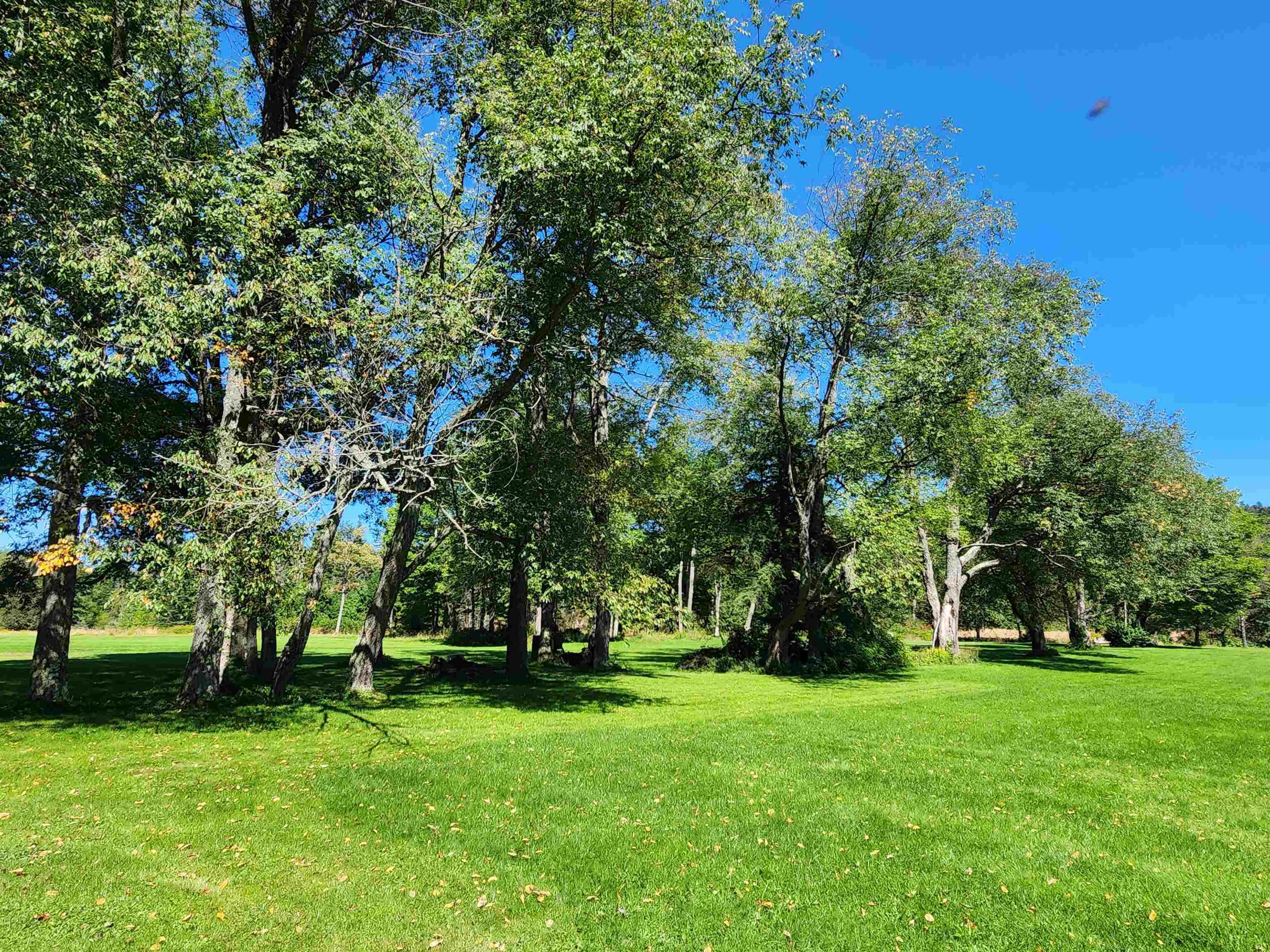 204 Hall Strm Road Canaan, VT 05902 - Photo 38 of 52