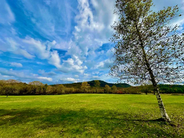 $260,000 | 204 Hall Strm Road, Canaan, VT 05902