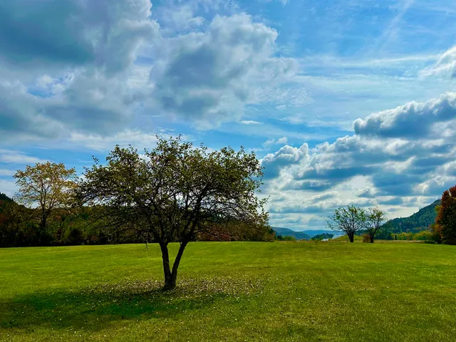 $260,000 | 204 Hall Strm Road, Canaan, VT 05902