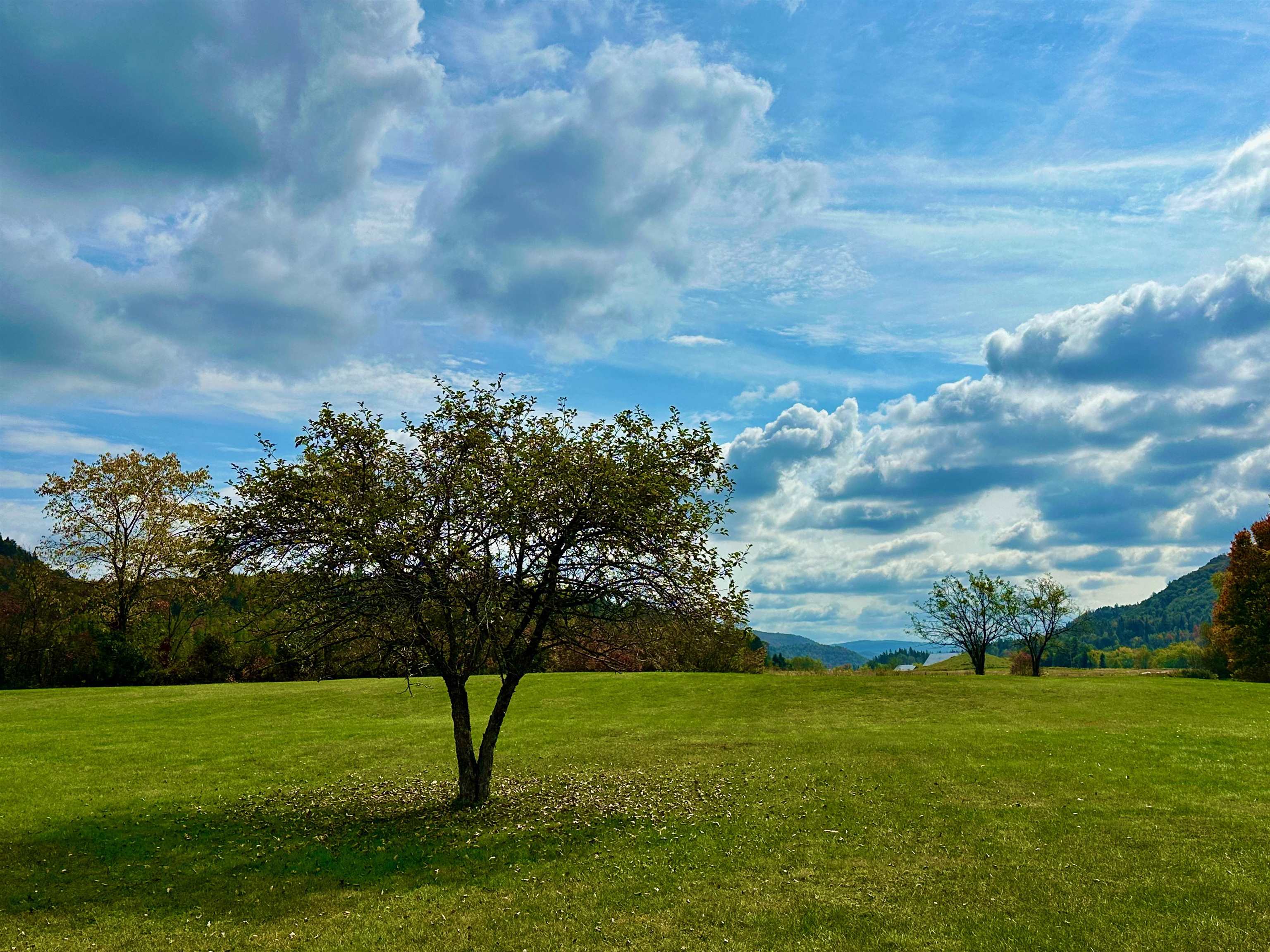 204 Hall Strm Road Canaan, VT 05902 - Photo 49 of 52