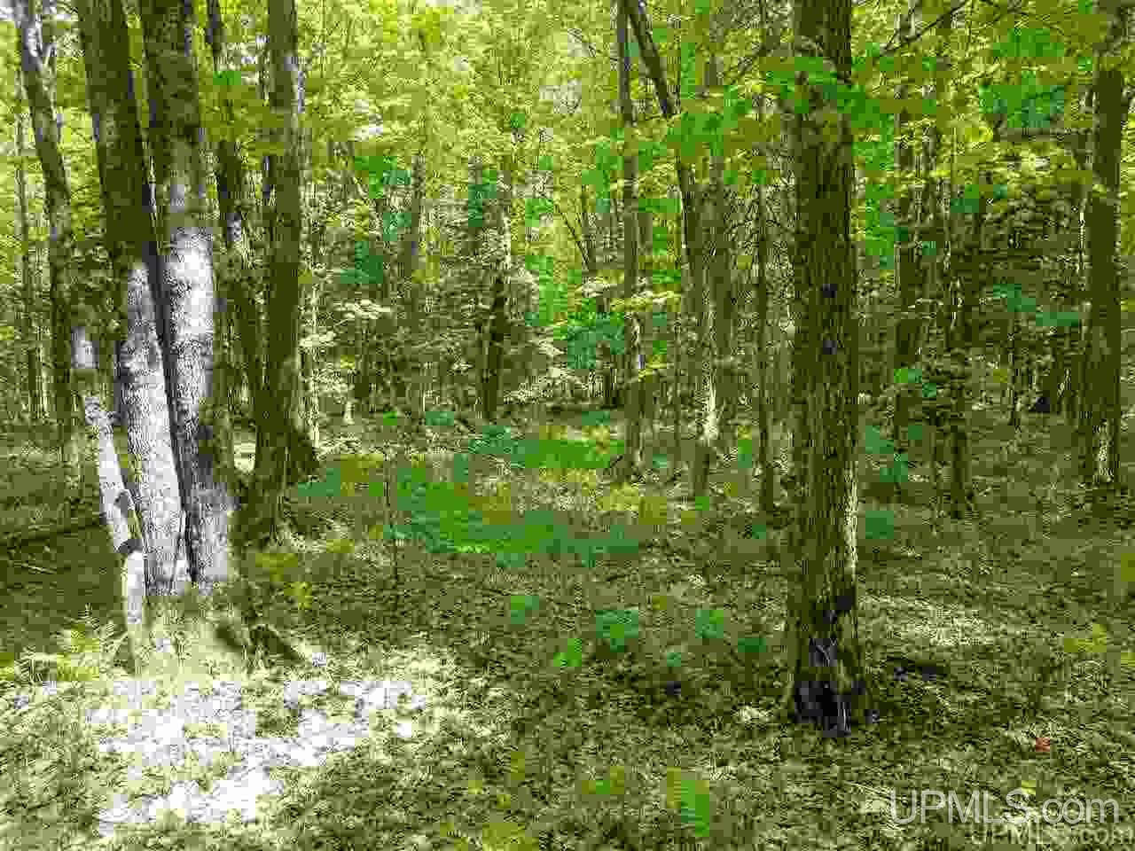 40-ac Parks Farm Road Iron River, MI 49935 - Photo 16 of 20