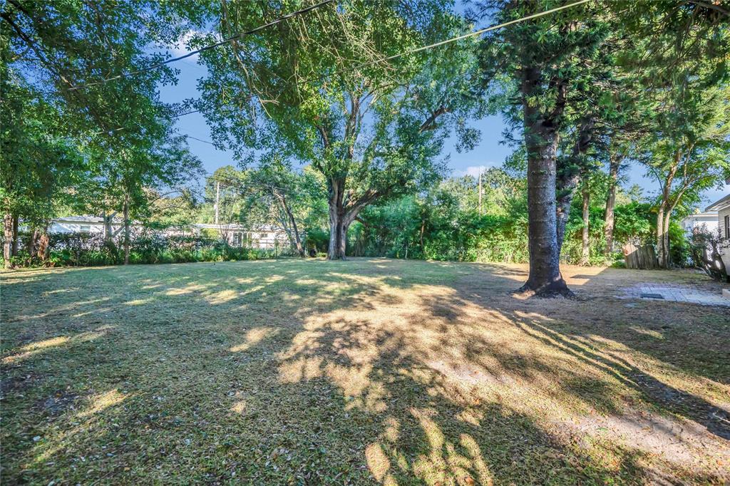 2807 Nancy Street Orlando, FL 32806 - Photo 23 of 27 a view of a yard with plants and trees