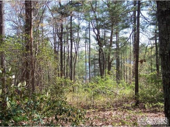 Lot 2-rev Panther Ridge Road Lake Toxaway, NC 28747 - Photo 3 of 5 Gallery Image 3
