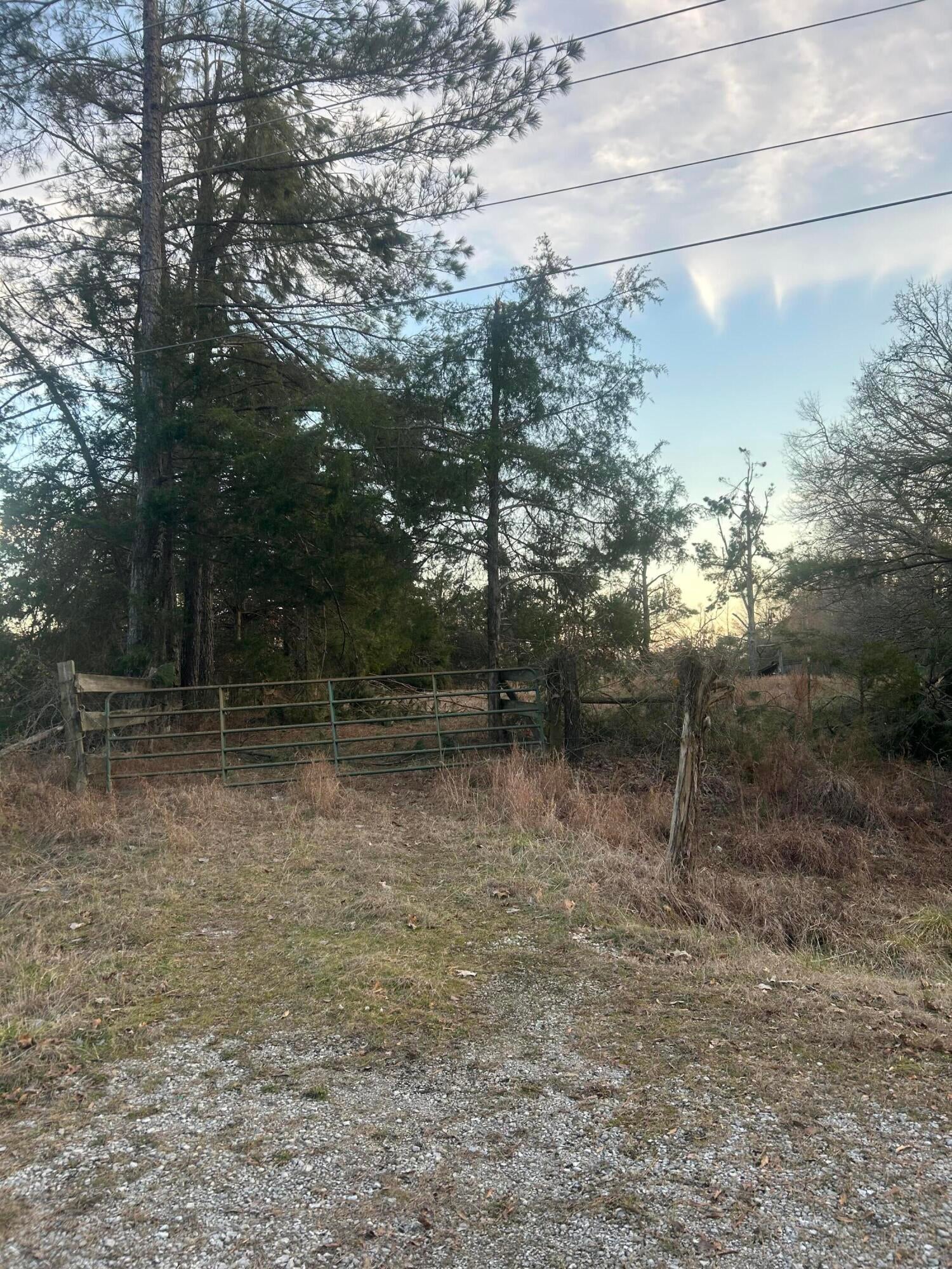Blue Mountain Road Ripley, MS 38663 - Photo 2 of 2 Gallery Image 2