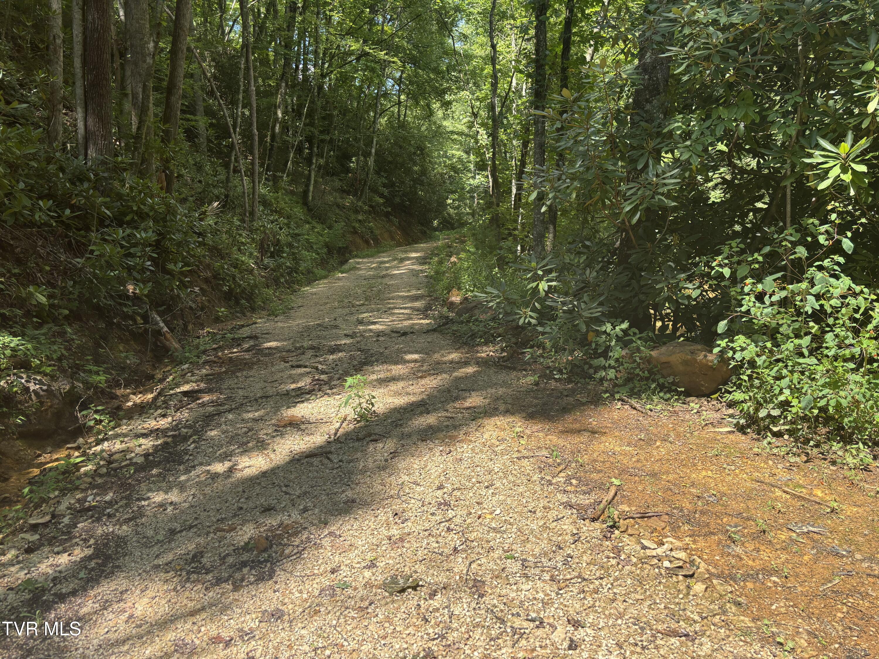 100 Gate Hollow Road Mountain City, TN 37683 - Photo 6 of 35 IMG_4897
