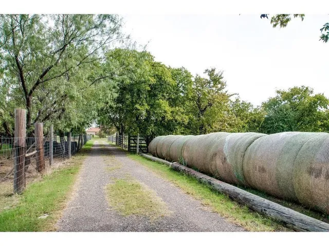 a view of a back yard