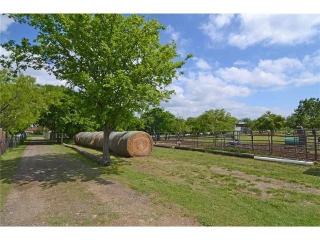 a view of a backyard