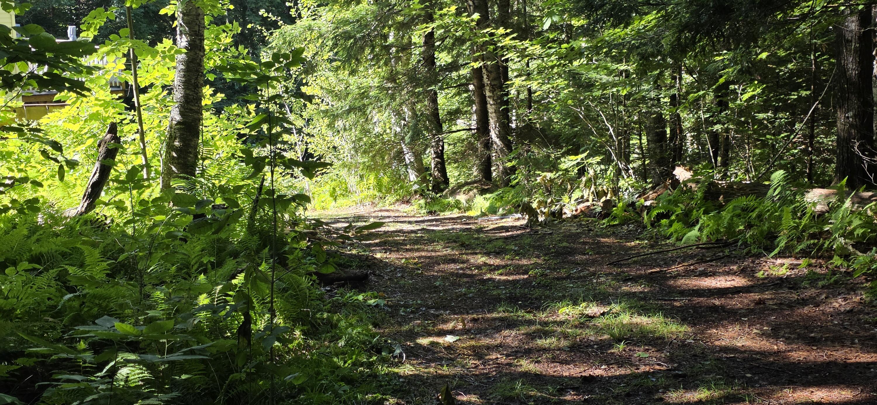 356 Wiley Road Norway, ME 04268 - Photo 9 of 50 20260804_093336