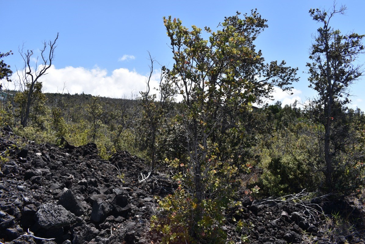 11 Lot Ocean View Ocean View, HI 96704 - Photo 4 of 12 a view of a mountain in the distance
