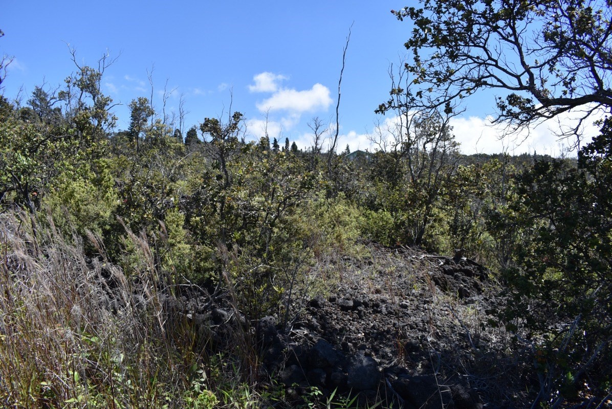 11 Lot Ocean View Ocean View, HI 96704 - Photo 5 of 12 a view of a city with lush green forest