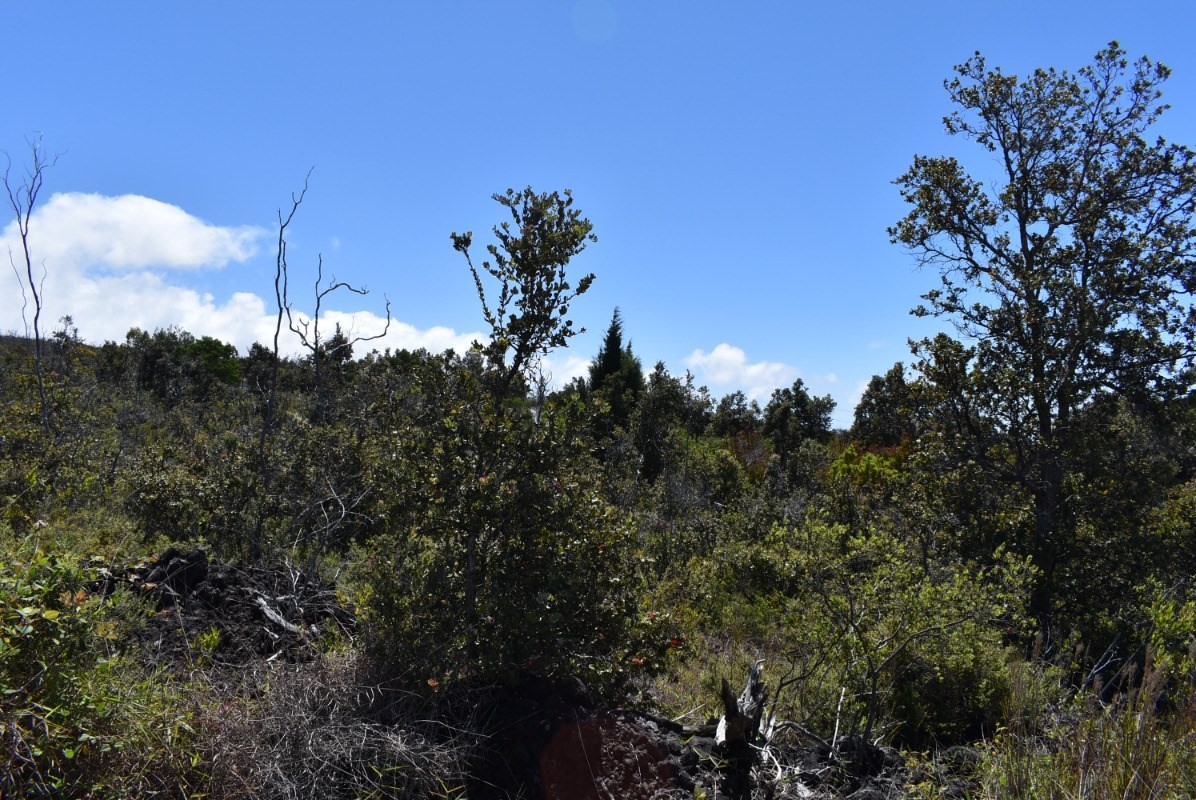 11 Lot Ocean View Ocean View, HI 96704 - Photo 6 of 12 a view of a city