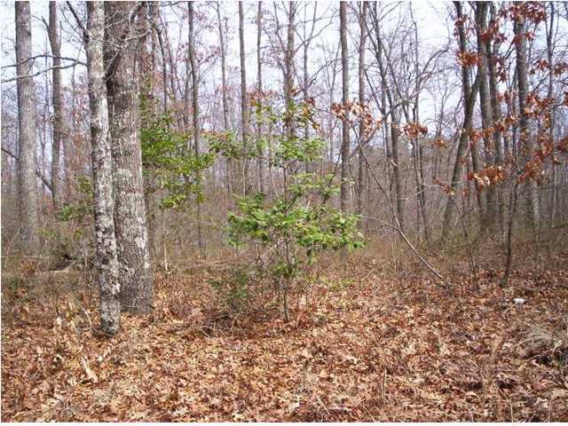 1665 Gizzard Creek Road Sequatchie, TN 37374 - Photo 8 of 10 Additional Photo