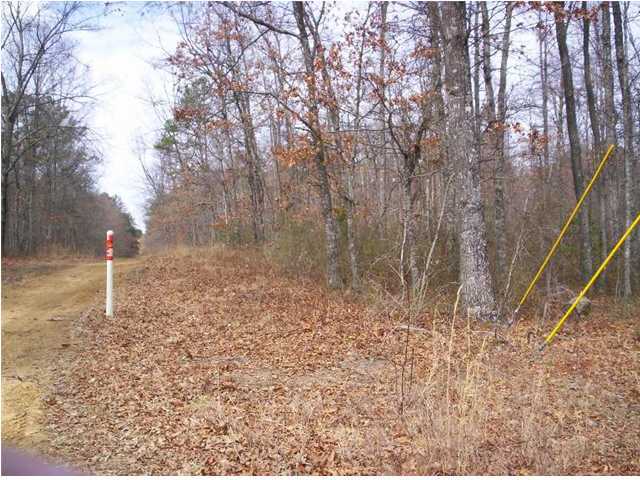 1665 Gizzard Creek Road Sequatchie, TN 37374 - Photo 9 of 10 Additional Photo