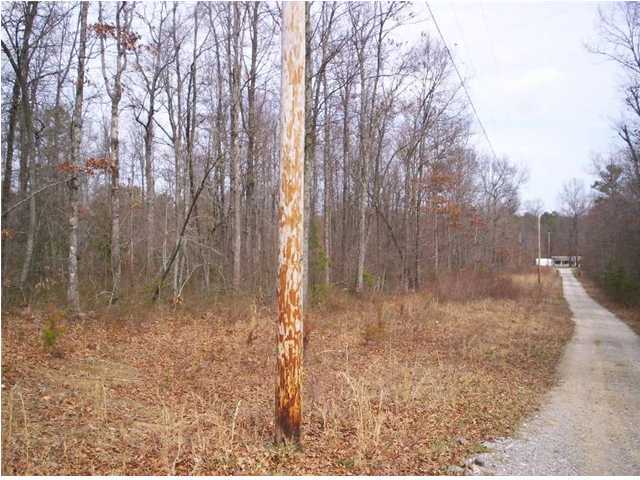 1665 Gizzard Creek Road Sequatchie, TN 37374 - Photo 10 of 10 Additional Photo