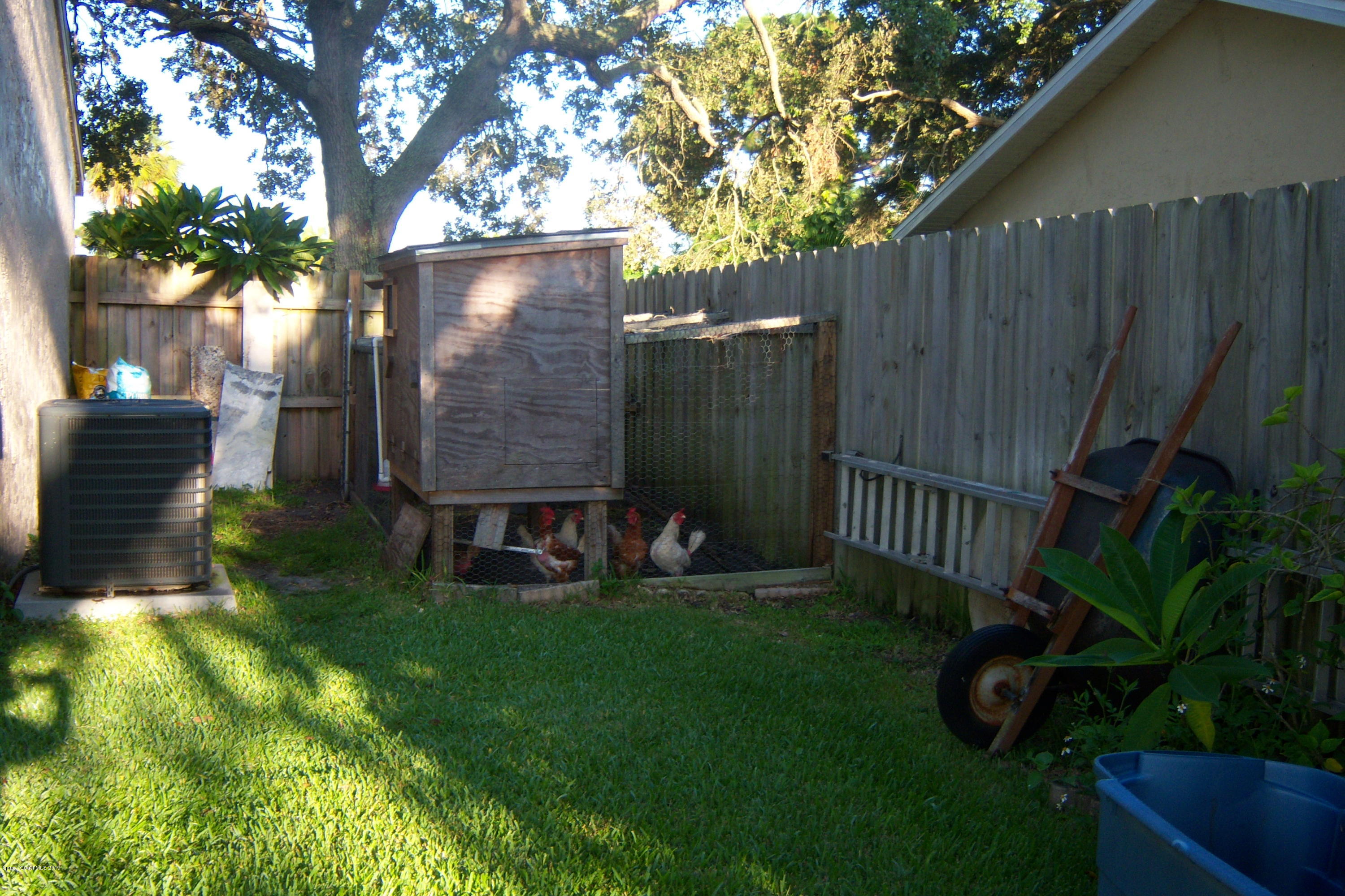 1556 Creel Road Northeast Palm Bay, FL 32905 - Photo 8 of 23 Chicken coop