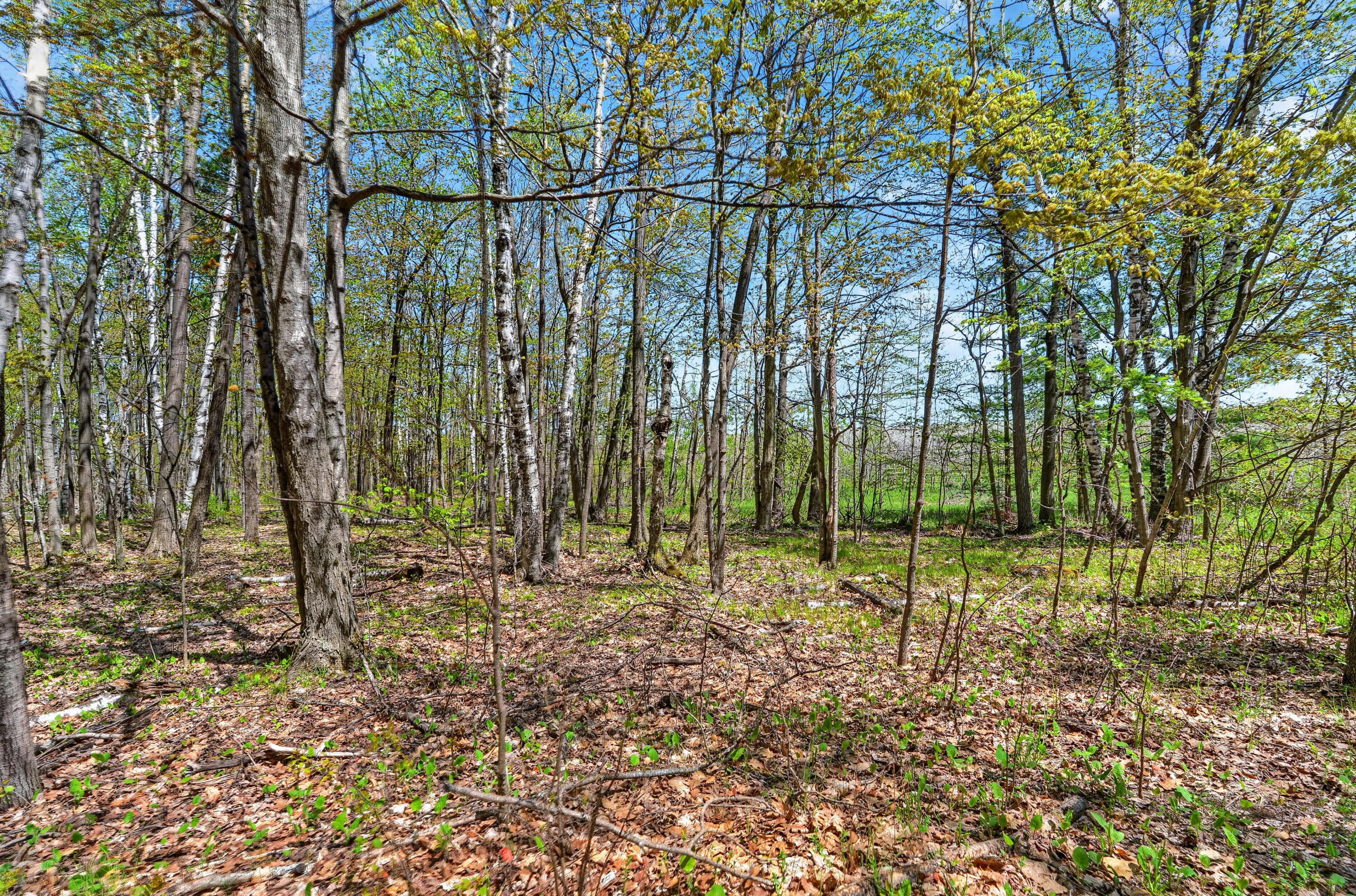 Parcel Old Orch Road, Unit 180221322812D Ellison Bay, WI 54210 - Photo 11 of 16 G - 3