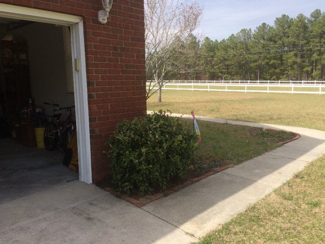 1346 Dairy Road Ridge Spring, SC 29129 - Photo 19 of 25