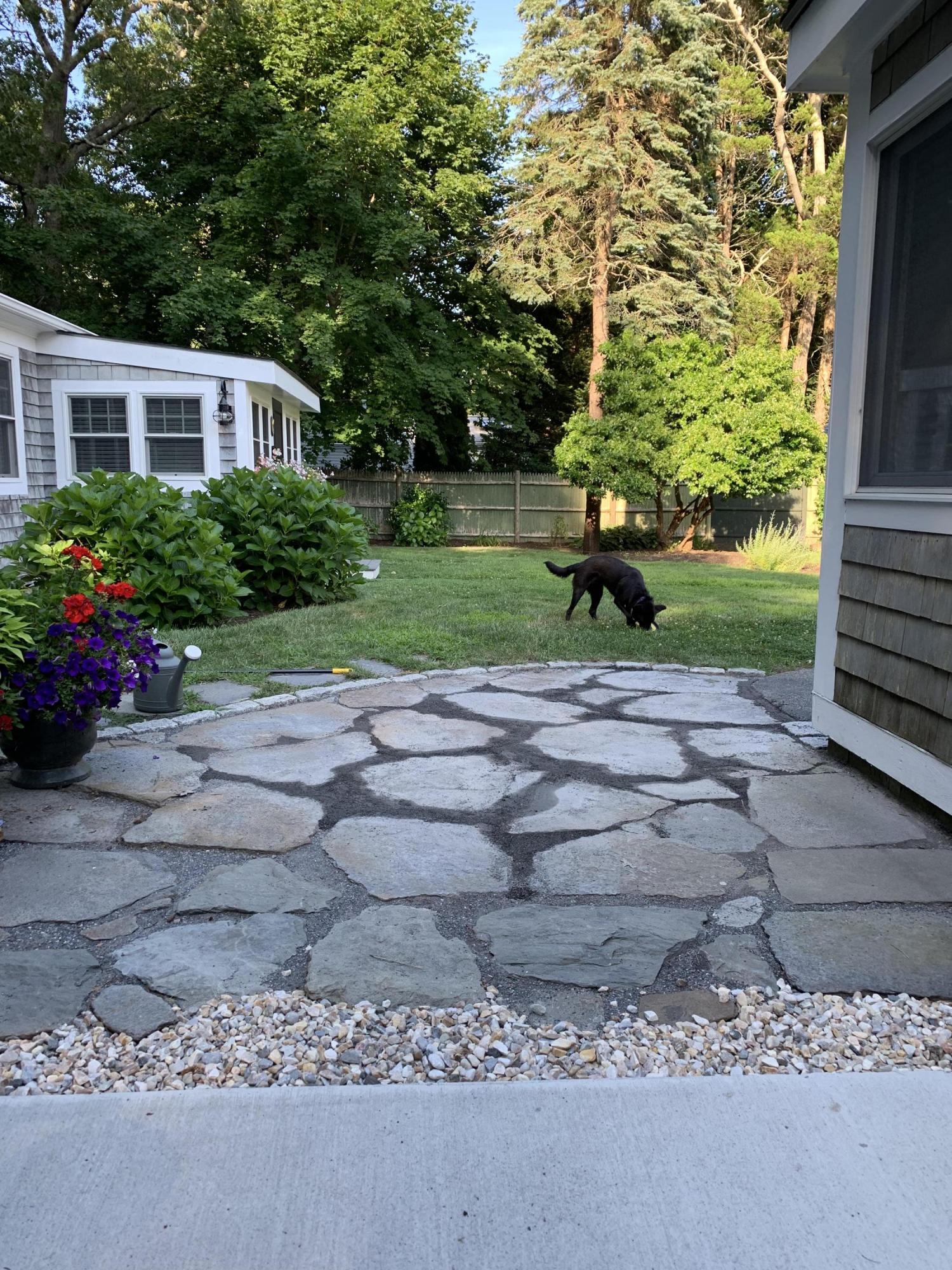234 Parker Road, Unit 1D Osterville, MA 02655 - Photo 3 of 26 a view of backyard with green space