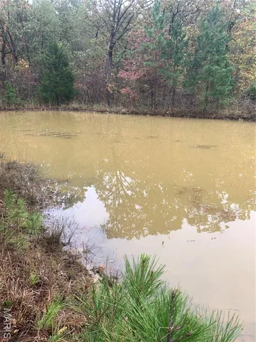 $299,995 | 1076 Highway Ww Salem Mo 65560, Salem, MO 65560