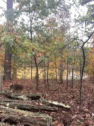 $299,995 | 1076 Highway Ww Salem Mo 65560, Salem, MO 65560