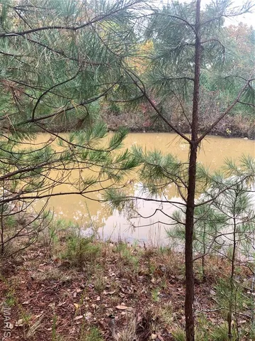 $299,995 | 1076 Highway Ww Salem Mo 65560, Salem, MO 65560