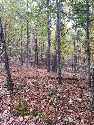 $299,995 | 1076 Highway Ww Salem Mo 65560, Salem, MO 65560