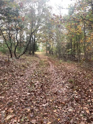 $299,995 | 1076 Highway Ww Salem Mo 65560, Salem, MO 65560