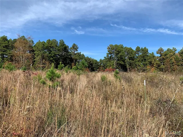 $299,995 | 1076 Highway Ww Salem Mo 65560, Salem, MO 65560