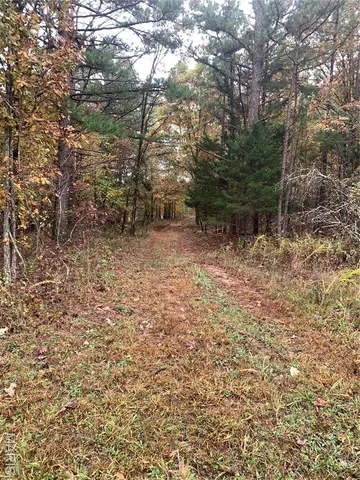 $299,995 | 1076 Highway Ww Salem Mo 65560, Salem, MO 65560