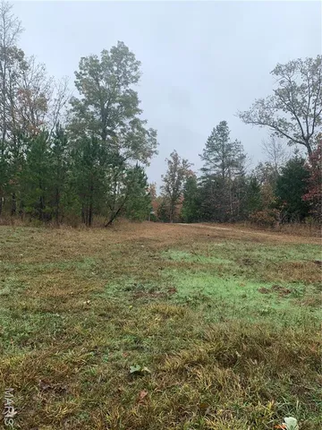 $299,995 | 1076 Highway Ww Salem Mo 65560, Salem, MO 65560