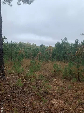 $299,995 | 1076 Highway Ww Salem Mo 65560, Salem, MO 65560