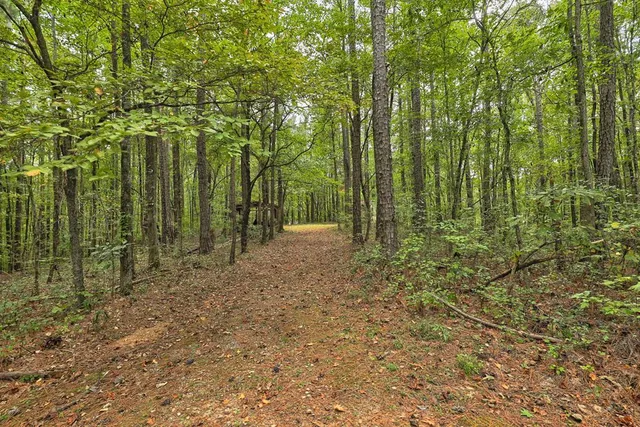 $400,000 | 2495 Fortson Road, Fortson, GA 31808