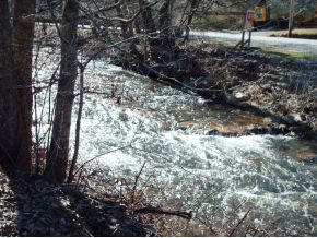 123 McMahan Gibbs Road Roan Mountain, TN 37687 - Photo 2 of 10 Over 100 ft of river frontage