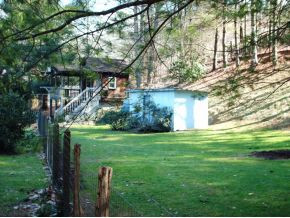 123 McMahan Gibbs Road Roan Mountain, TN 37687 - Photo 3 of 10 rear fenced yard